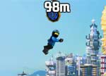 Flight of the Ninja